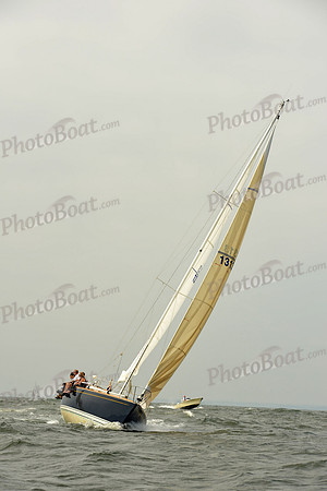 2015 Vineyard Race A 221