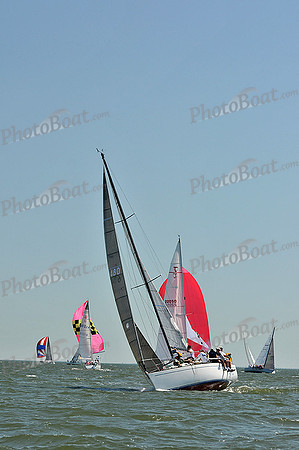 2013 Southern Bay Race Week D 486