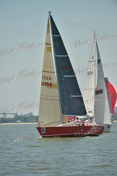 2017 Southern Bay Race Week A_1403