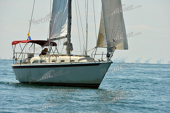 2015 Cape Charles Cup A 599
