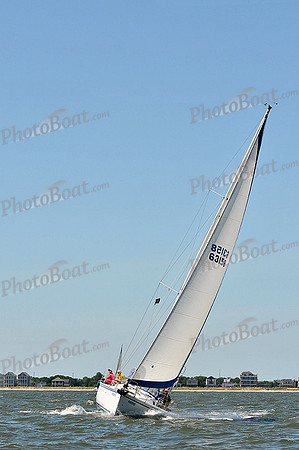 2014 Southern Bay Race Week D 297