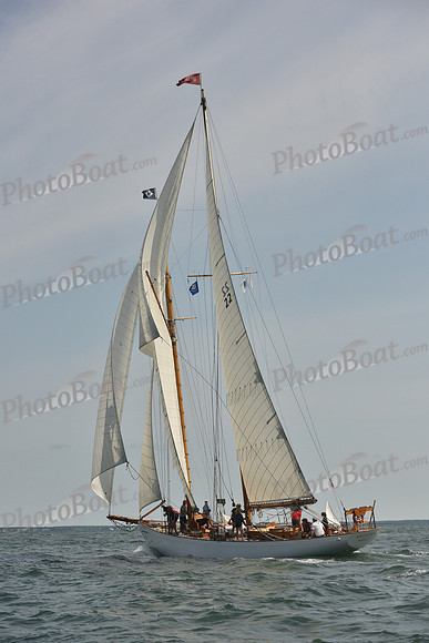 2018 Vineyard Cup A_0261