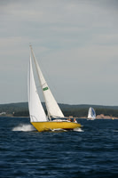 2016 Chester Race Week A_0568