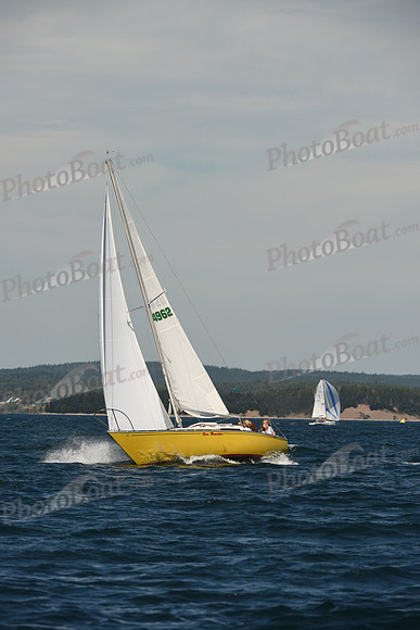 2016 Chester Race Week A_0568