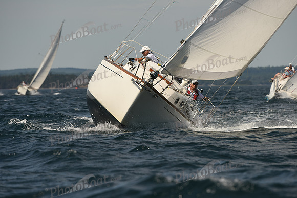 2016 Chester Race Week A_0831