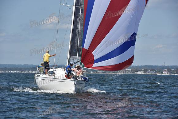 2020 Vineyard Race A_0403