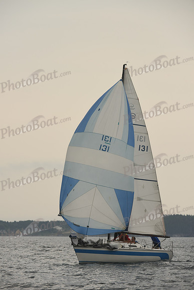 2016 Chester Race Week D_0774