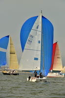 2016 Southern Bay Race Week A_0254