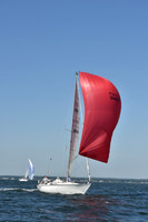 2019 Vineyard Race A_0293