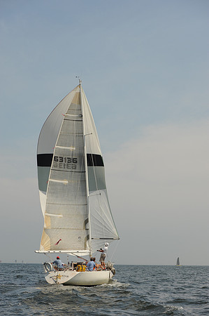 2013 Vineyard Race A 961