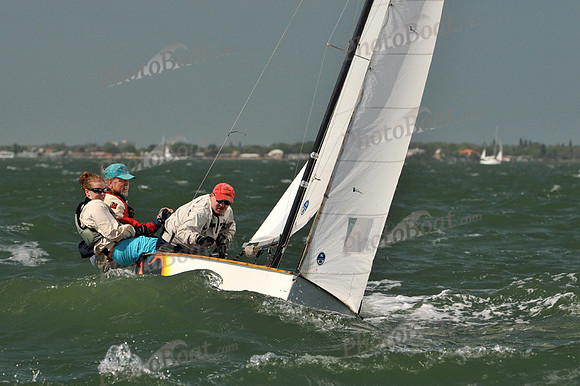 2012 Thistle Midwinters B 772