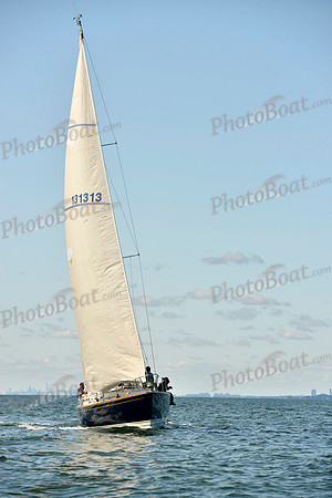 2017 Stamford Denmark Race_0341