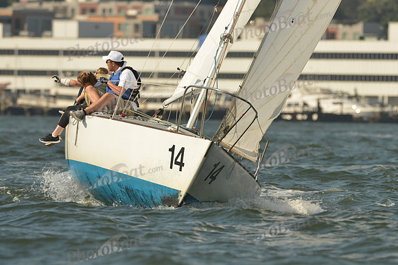 2015 NY Architects Regatta A 355