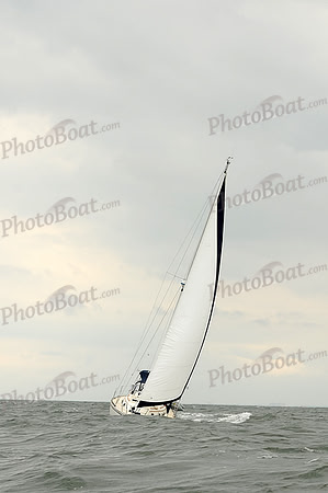 2012 Cape Charles Cup A 929