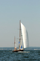 2012 Vineyard Race A 415