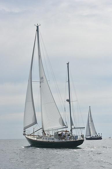 2019 Around Marthas Vineyard A_1194