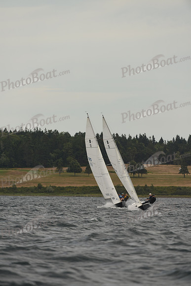 2016 Chester Race Week A_1793