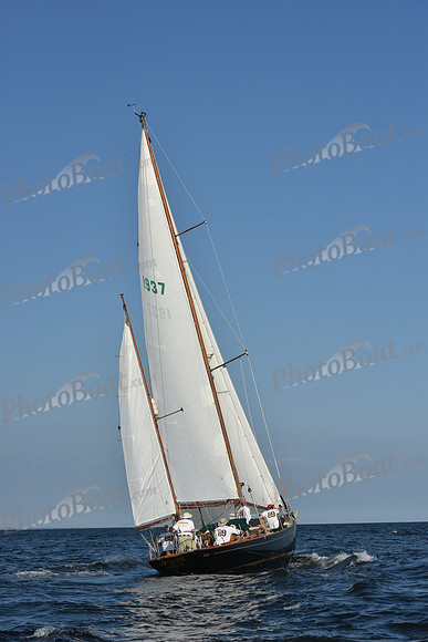 2019 ALIR_1557