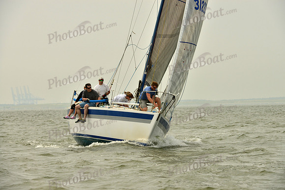 2016 Southern Bay Race Week A_0482