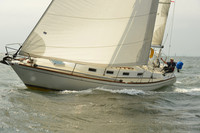2015 Vineyard Race A 374