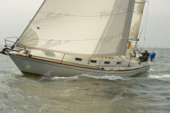 2015 Vineyard Race A 374