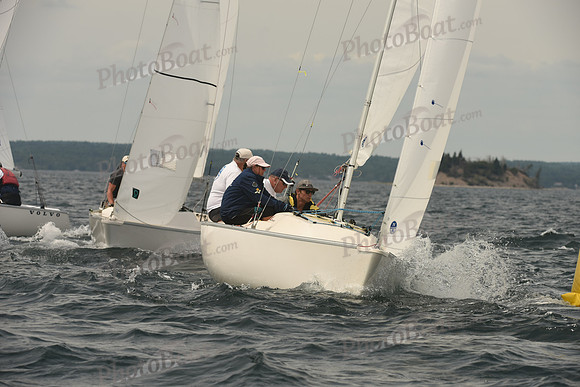 2016 Chester Race Week C_1003