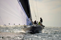 2017 Vineyard Race A_2095