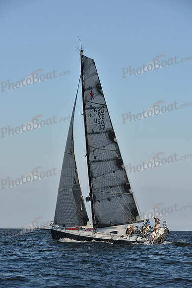 2019 ALIR_2483