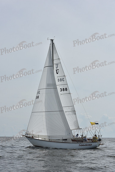 2019 Gov Cup A_0535