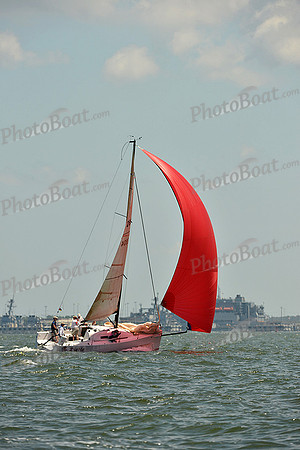 2015 Southern Bay Race Week A 1008