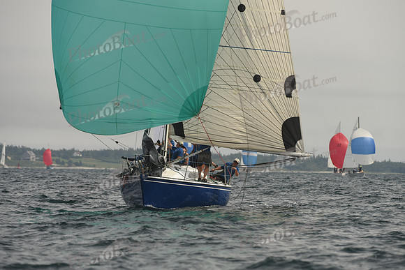 2016 Chester Race Week C_1631