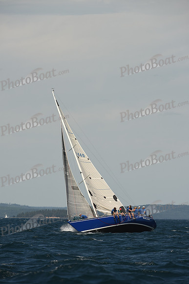 2016 Chester Race Week A_1333