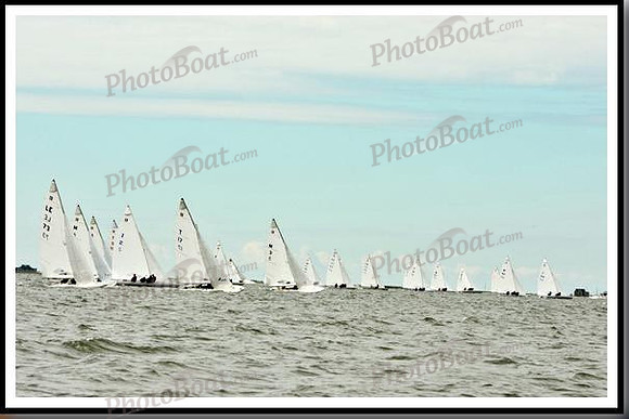 proof_2010_EScows_A 630
