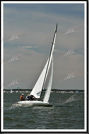 proof_2010_EScows_E 070
