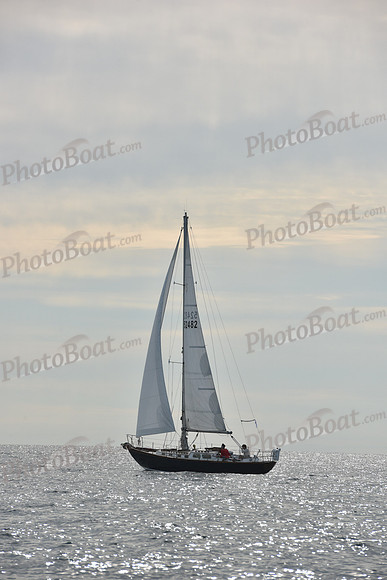 2019 Around Marthas Vineyard A_0176