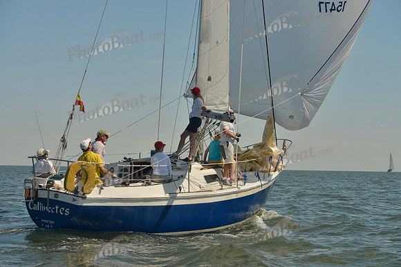 2017 Southern Bay Race Week B_0437