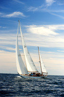 2014 Newport Bermuda A 2445
