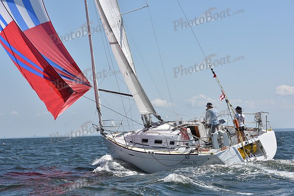 2020 Vineyard Race A_0958