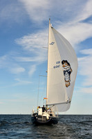 2017 Vineyard Race A_2307