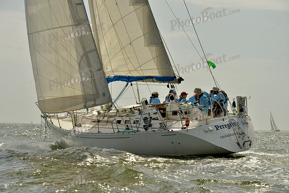 2019 Charleston Race Week A_0554
