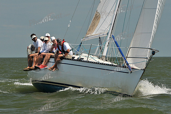 2013 Southern Bay Race Week D 1141