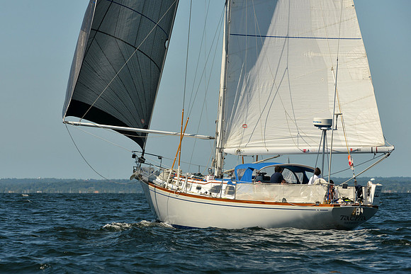 2015 Vineyard Race C 351