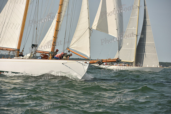 2018 Vineyard Cup A_0248