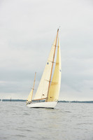 Dorade
