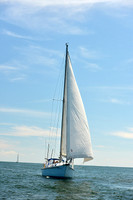 2015 Cape Charles Cup A 919