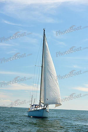 2015 Cape Charles Cup A 919