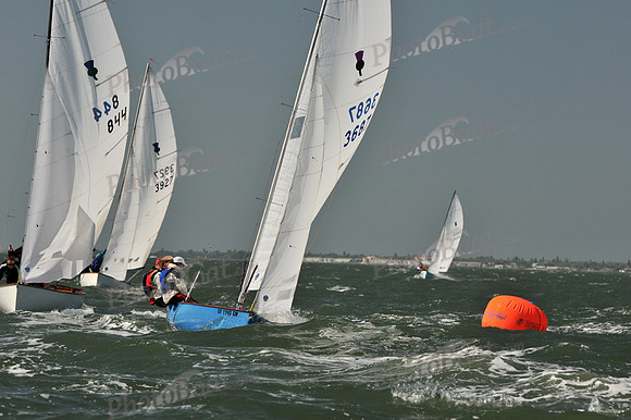 2012 Thistle Midwinters B 623