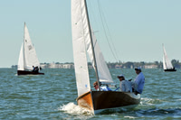2012 Thistle Midwinters A 361
