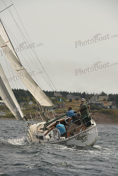 2016 Chester Race Week C_0768