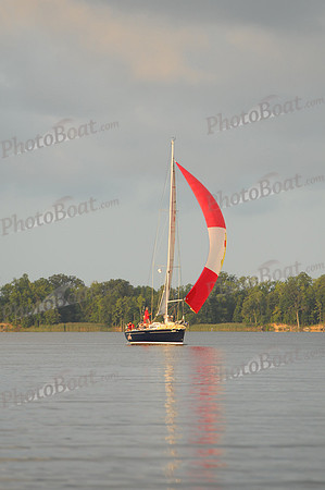 2011 Gov Cup C 104